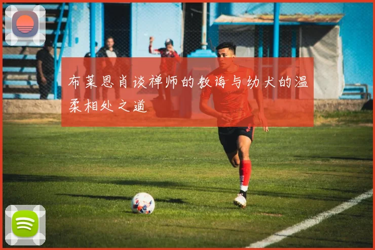 布莱恩肖谈禅师的教诲与幼犬的温柔相处之道